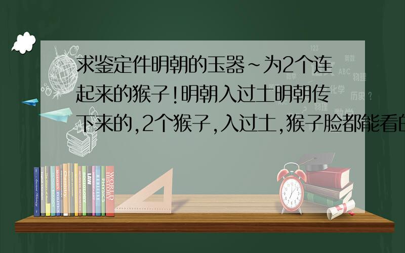 求鉴定件明朝的玉器~为2个连起来的猴子!明朝入过土明朝传下来的,2个猴子,入过土,猴子脸都能看的很清楚,照片拍的不太好想问下大概值多少钱啊?