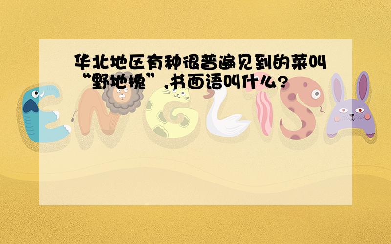 华北地区有种很普遍见到的菜叫“野地槐”,书面语叫什么?