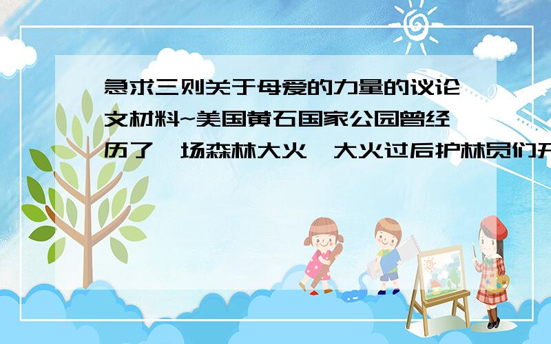 急求三则关于母爱的力量的议论文材料~美国黄石国家公园曾经历了一场森林大火,大火过后护林员们开始上山察看灾情.有位护林员在一棵树下发现了一只被烧焦的鸟.虽然已经死去,但这只鸟