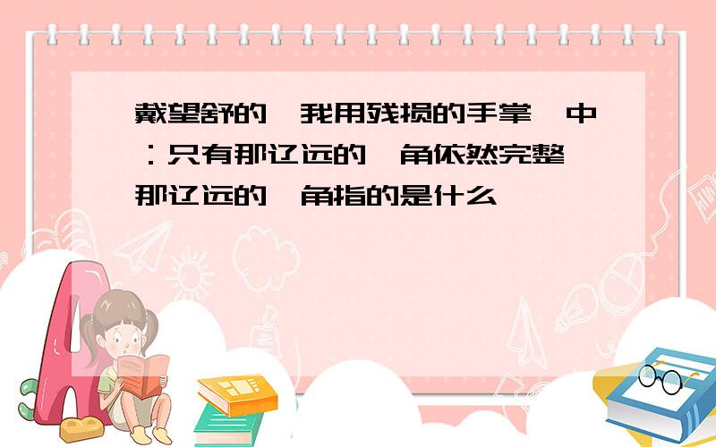 戴望舒的《我用残损的手掌》中：只有那辽远的一角依然完整,那辽远的一角指的是什么