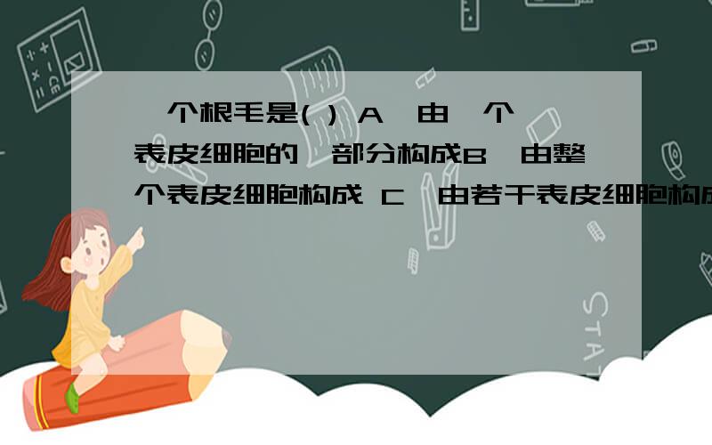 一个根毛是( ) A,由一个表皮细胞的一部分构成B,由整个表皮细胞构成 C,由若干表皮细胞构成 D,由成熟区所有细胞构成