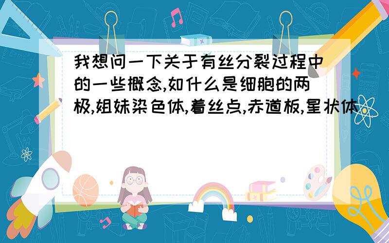 我想问一下关于有丝分裂过程中的一些概念,如什么是细胞的两极,姐妹染色体,着丝点,赤道板,星状体