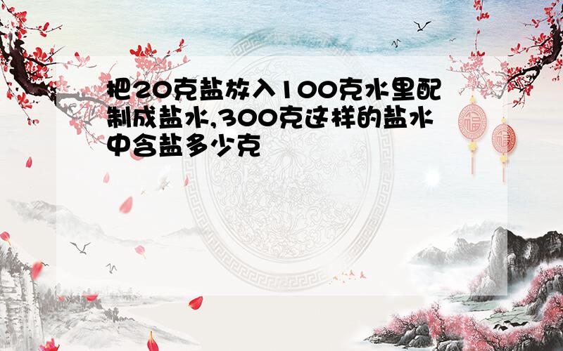 把20克盐放入100克水里配制成盐水,300克这样的盐水中含盐多少克