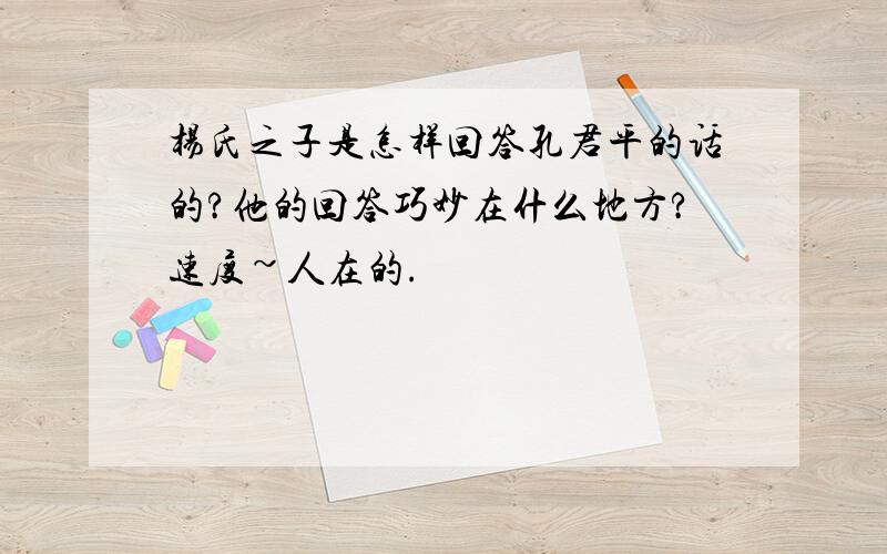 杨氏之子是怎样回答孔君平的话的?他的回答巧妙在什么地方?速度~人在的.