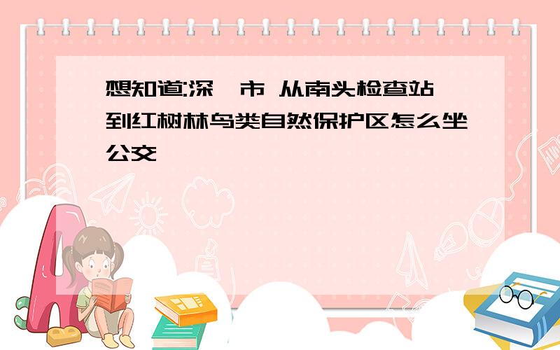 想知道:深圳市 从南头检查站到红树林鸟类自然保护区怎么坐公交