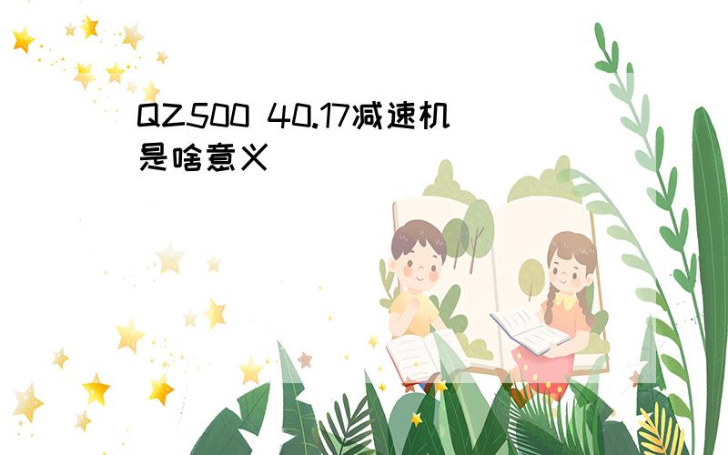 QZ500 40.17减速机是啥意义