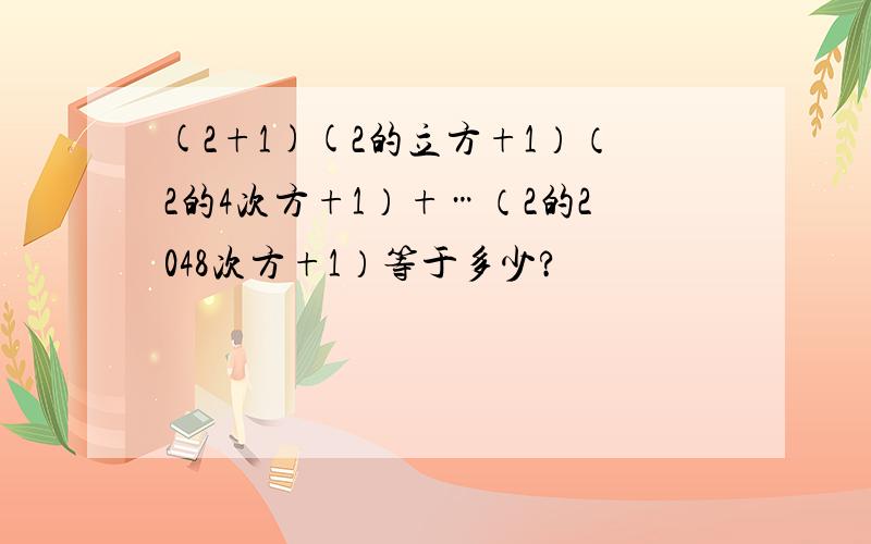 (2+1)(2的立方+1）（2的4次方+1）+…（2的2048次方+1）等于多少?