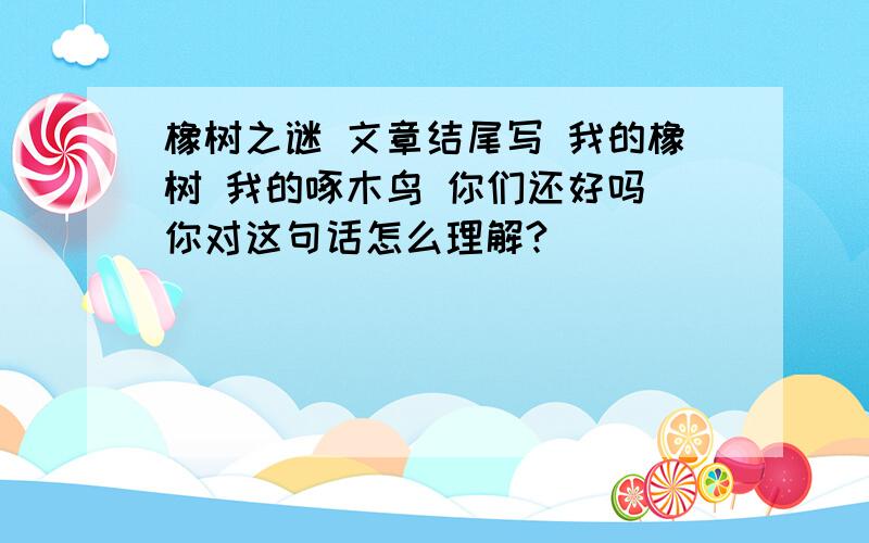 橡树之谜 文章结尾写 我的橡树 我的啄木鸟 你们还好吗 你对这句话怎么理解?