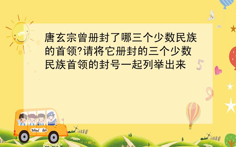 唐玄宗曾册封了哪三个少数民族的首领?请将它册封的三个少数民族首领的封号一起列举出来