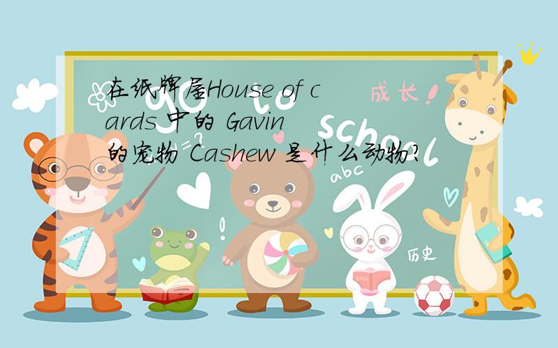 在纸牌屋House of cards 中的 Gavin 的宠物 Cashew 是什么动物?