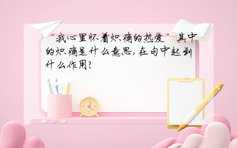 “我心里怀着炽痛的热爱”其中的炽痛是什么意思,在句中起到什么作用?