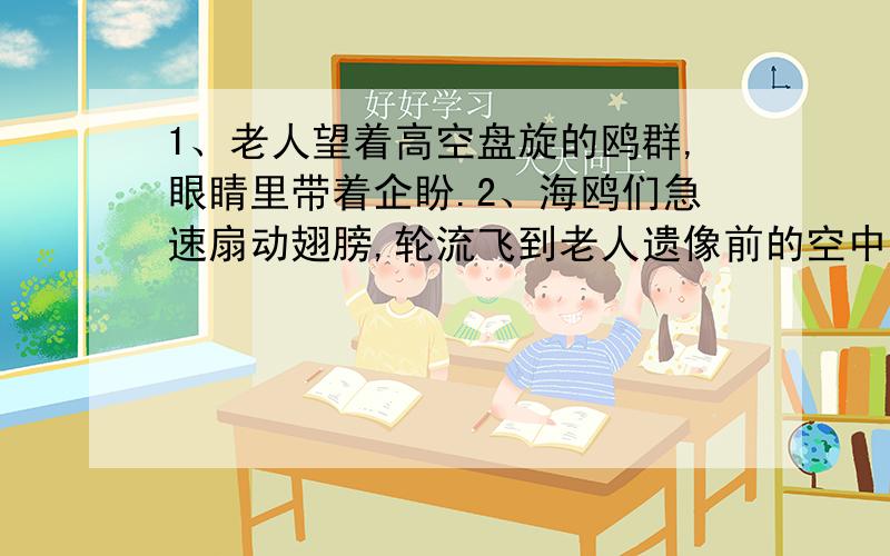 1、老人望着高空盘旋的鸥群,眼睛里带着企盼.2、海鸥们急速扇动翅膀,轮流飞到老人遗像前的空中,像是前来1.从这个句子中,我们可以想象老人当时的神态,可以体会到老人（）.2、瞻仰仪容的