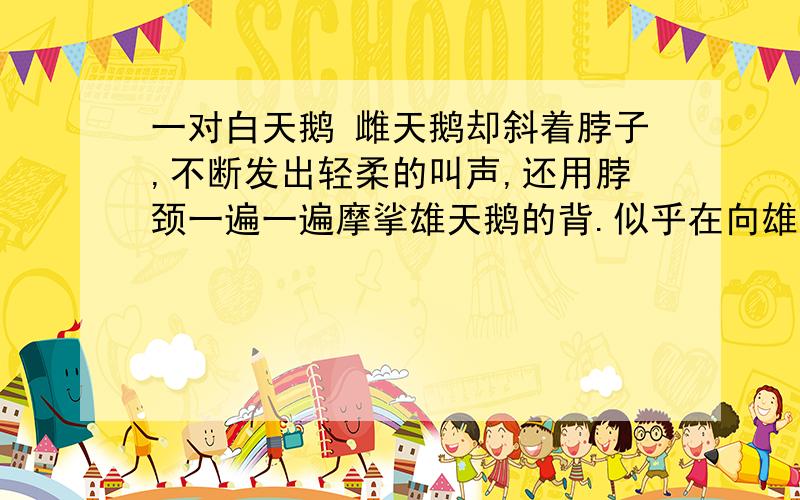 一对白天鹅 雌天鹅却斜着脖子,不断发出轻柔的叫声,还用脖颈一遍一遍摩挲雄天鹅的背.似乎在向雄天鹅表白自己的心迹.似乎________________________.雄天鹅突然跳进湖里,偏着脸,最后留念的朝天