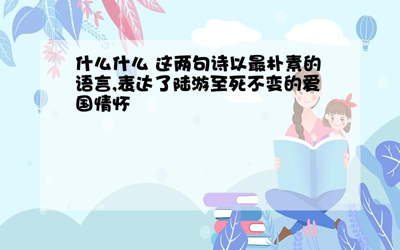 什么什么 这两句诗以最朴素的语言,表达了陆游至死不变的爱国情怀