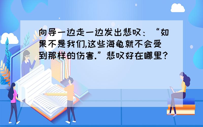 向导一边走一边发出悲叹：“如果不是我们,这些海龟就不会受到那样的伤害.”悲叹好在哪里?