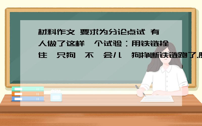 材料作文 要求为分论点试 有人做了这样一个试验：用铁链拴住一只狗,不一会儿,狗挣断铁链跑了.原来铁链上的100个环扣中,99个都完好,只有1个锈坏了,结果整条铁链连狗都拴不住.立意：小的