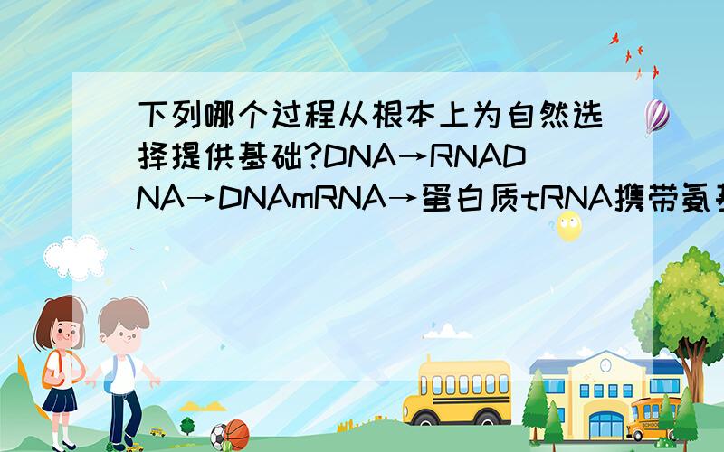 下列哪个过程从根本上为自然选择提供基础?DNA→RNADNA→DNAmRNA→蛋白质tRNA携带氨基酸