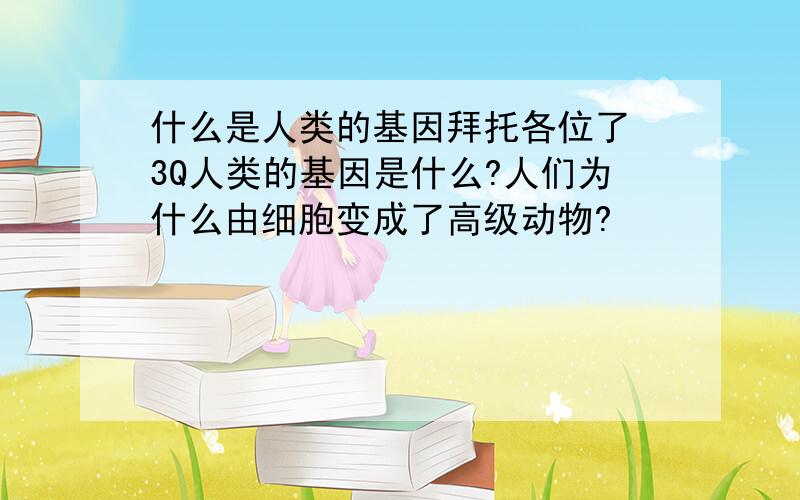 什么是人类的基因拜托各位了 3Q人类的基因是什么?人们为什么由细胞变成了高级动物?