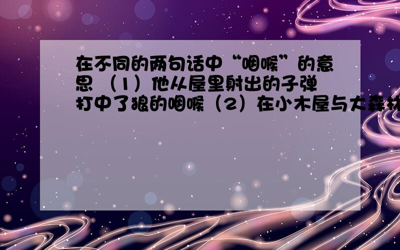 在不同的两句话中“咽喉”的意思 （1）他从屋里射出的子弹打中了狼的咽喉（2）在小木屋与大森林的咽喉道上这两个“咽喉”分别是什么意思?