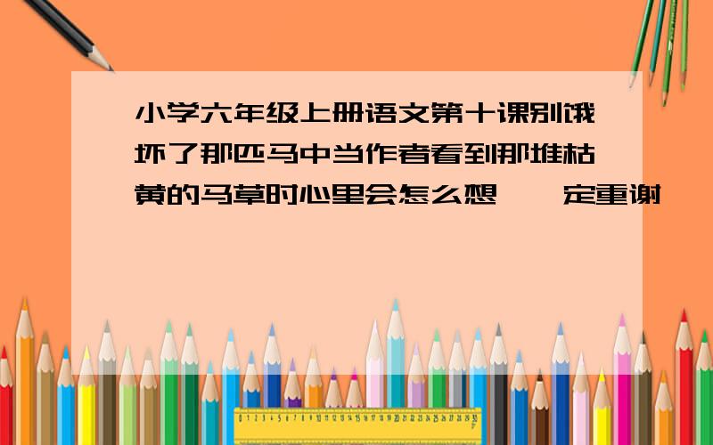 小学六年级上册语文第十课别饿坏了那匹马中当作者看到那堆枯黄的马草时心里会怎么想,一定重谢