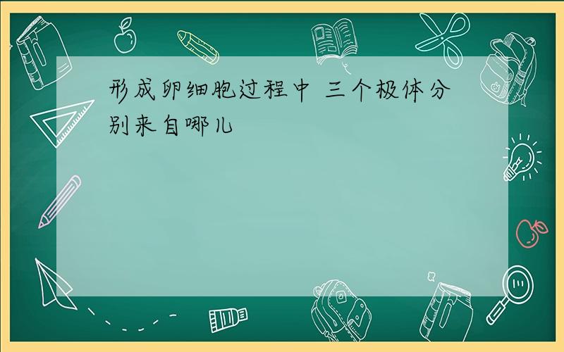 形成卵细胞过程中 三个极体分别来自哪儿