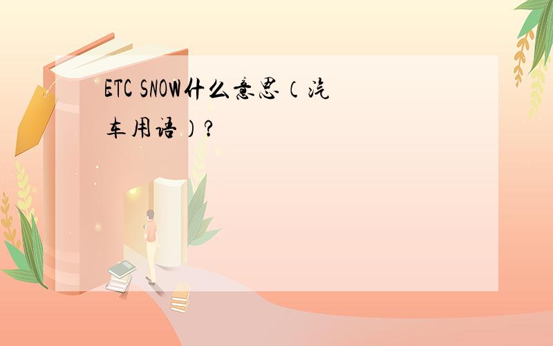 ETC SNOW什么意思（汽车用语）?