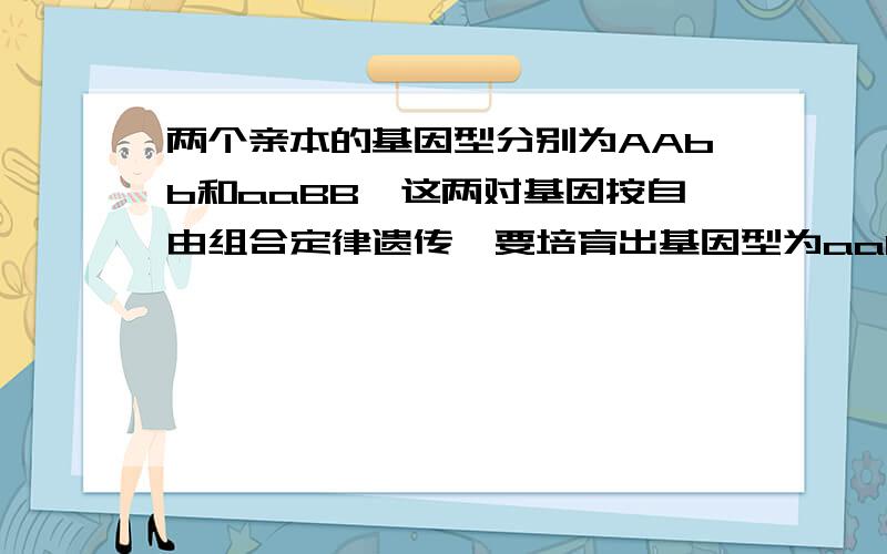 两个亲本的基因型分别为AAbb和aaBB,这两对基因按自由组合定律遗传,要培育出基因型为aabb的新品种最简捷的方法是（B）A.单倍体育种B.杂交育种C.人工诱变育种D.细胞工程育种为什么答案解释