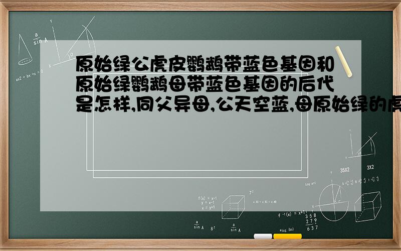 原始绿公虎皮鹦鹉带蓝色基因和原始绿鹦鹉母带蓝色基因的后代是怎样,同父异母,公天空蓝,母原始绿的虎皮鹦鹉的后代是.请专业人士说一下.详细