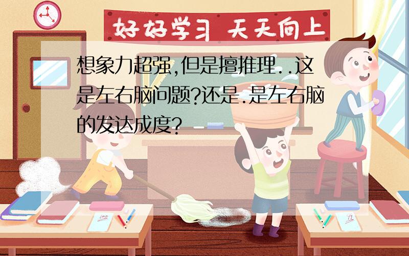 想象力超强,但是擅推理..这是左右脑问题?还是.是左右脑的发达成度?