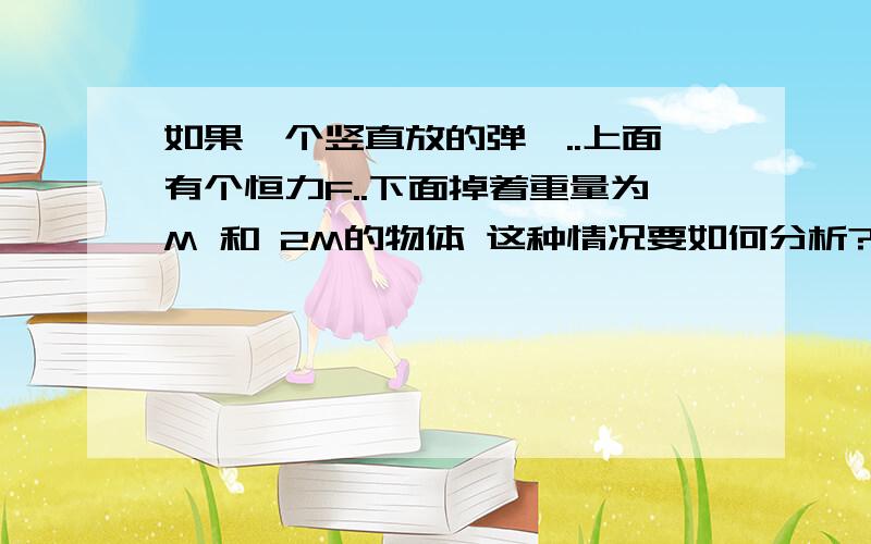 如果一个竖直放的弹簧..上面有个恒力F..下面掉着重量为M 和 2M的物体 这种情况要如何分析?是不是要分qiuqiu如果一个竖直放的弹簧..上面有个恒力F..下面掉着重量为M 和 2M的物体这种情况要如