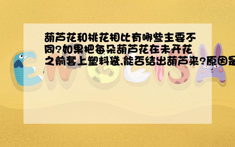 葫芦花和桃花相比有哪些主要不同?如果把每朵葫芦花在未开花之前套上塑料袋,能否结出葫芦来?原因是?