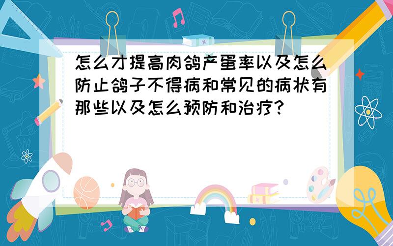 怎么才提高肉鸽产蛋率以及怎么防止鸽子不得病和常见的病状有那些以及怎么预防和治疗?