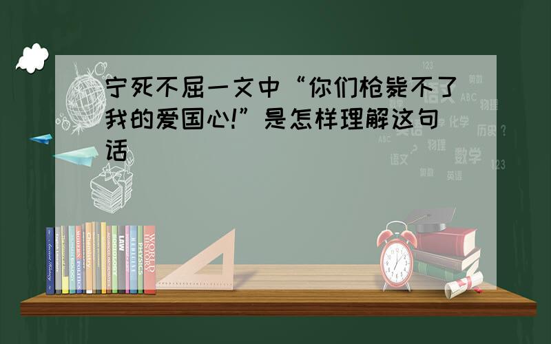 宁死不屈一文中“你们枪毙不了我的爱国心!”是怎样理解这句话