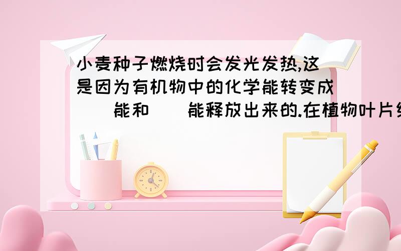 小麦种子燃烧时会发光发热,这是因为有机物中的化学能转变成（）能和（）能释放出来的.在植物叶片细胞中,能将光能转变成化学能的结构是（）.在动植物细胞中,能将有机物中的化学能释