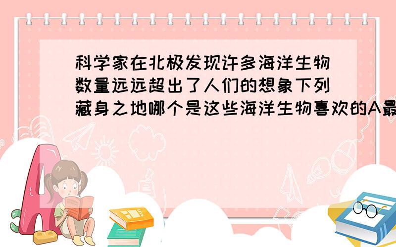 科学家在北极发现许多海洋生物数量远远超出了人们的想象下列藏身之地哪个是这些海洋生物喜欢的A最寒冷的海绵冰层下B海底由地质运动形成的坑里C冰山周围