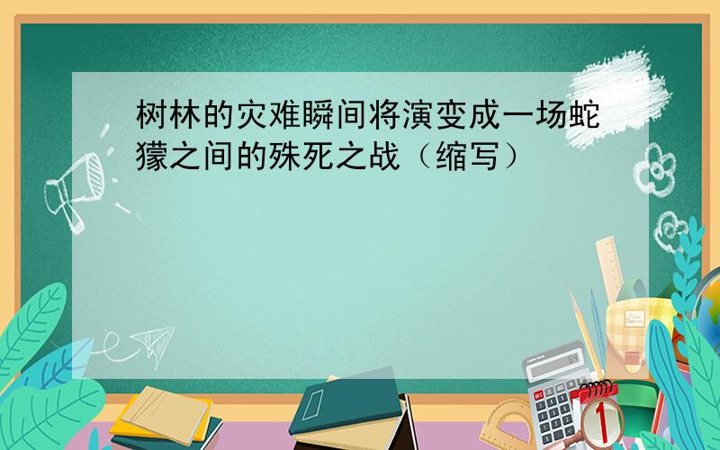 树林的灾难瞬间将演变成一场蛇獴之间的殊死之战（缩写）