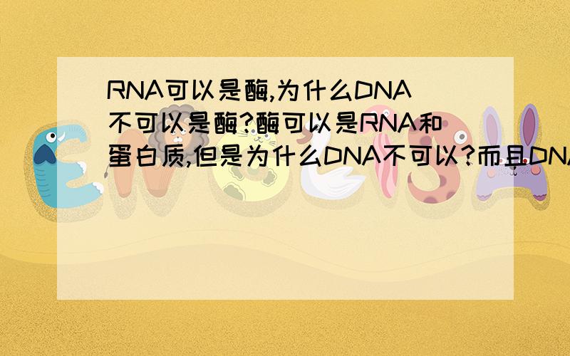 RNA可以是酶,为什么DNA不可以是酶?酶可以是RNA和蛋白质,但是为什么DNA不可以?而且DNA和RNA结构除了核糖上的-OH以外还有其他什么差别吗?