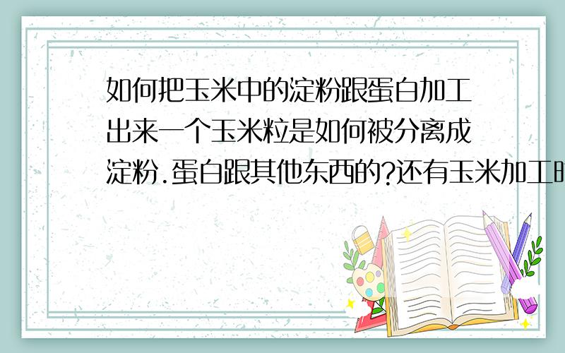 如何把玉米中的淀粉跟蛋白加工出来一个玉米粒是如何被分离成淀粉.蛋白跟其他东西的?还有玉米加工时怎么个加工法?