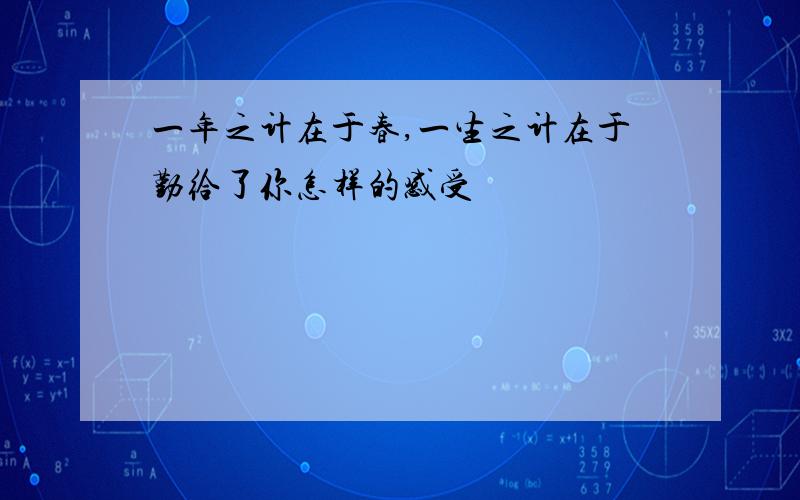 一年之计在于春,一生之计在于勤给了你怎样的感受