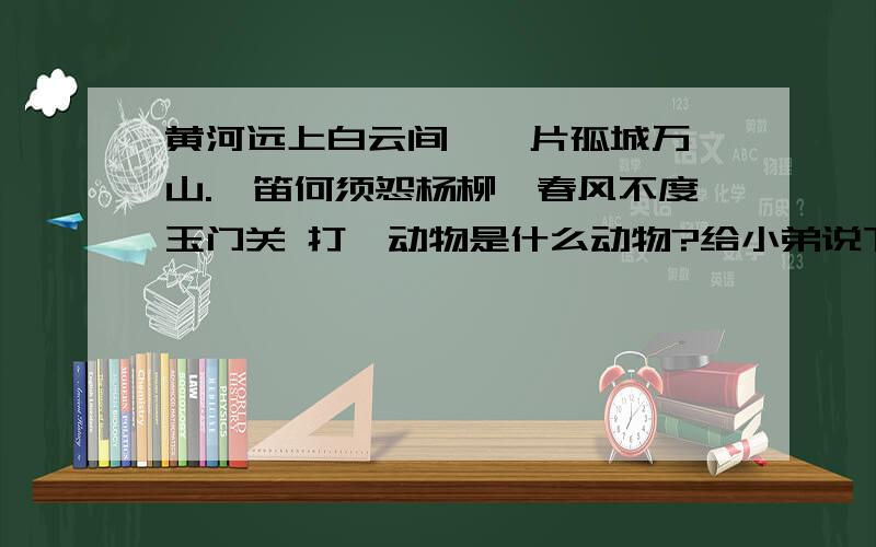 黄河远上白云间,一片孤城万仞山.羌笛何须怨杨柳,春风不度玉门关 打一动物是什么动物?给小弟说下吧!1：光明-马 2：银玉-蝴蝶 3：太平-水龙 4：只得-野猫 5：广安-骆驼 6：日山-鸡 7：井利-