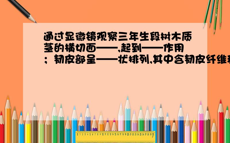 通过显微镜观察三年生段树木质茎的横切面——,起到——作用；韧皮部呈——状排列,其中含韧皮纤维和——；形成层只有2~3层细胞,呈——状排列,形状——,能不断进行——,是茎不短增粗；