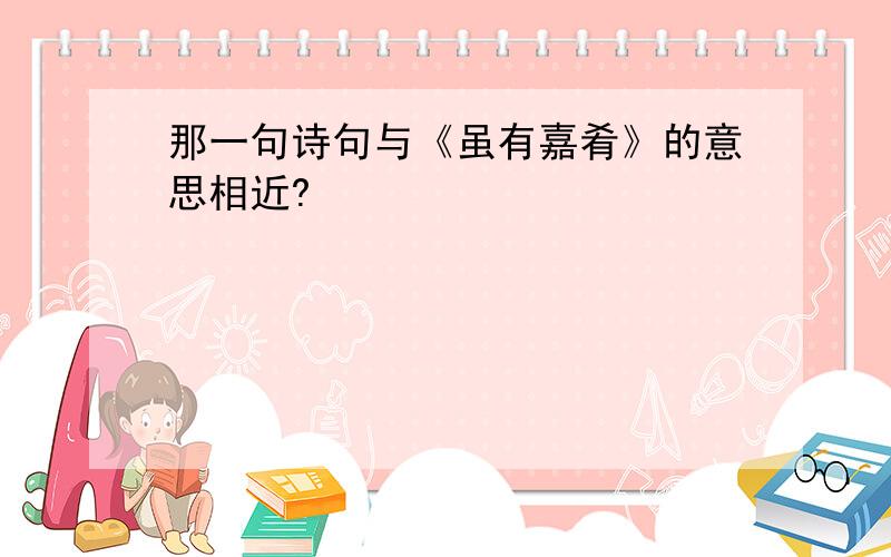 那一句诗句与《虽有嘉肴》的意思相近?