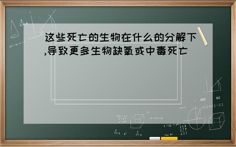 这些死亡的生物在什么的分解下,导致更多生物缺氧或中毒死亡