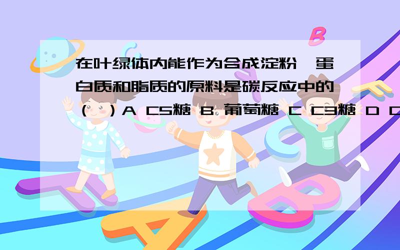 在叶绿体内能作为合成淀粉、蛋白质和脂质的原料是碳反应中的（ ）A C5糖 B 葡萄糖 C C3糖 D C3酸