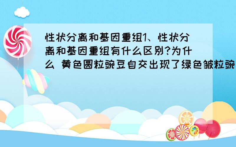 性状分离和基因重组1、性状分离和基因重组有什么区别?为什么 黄色圆粒豌豆自交出现了绿色皱粒豌豆 是性状分离而不是基因重组呢?2、“受精时,雌雄配子的遗传物质相融合”为什么是遗传