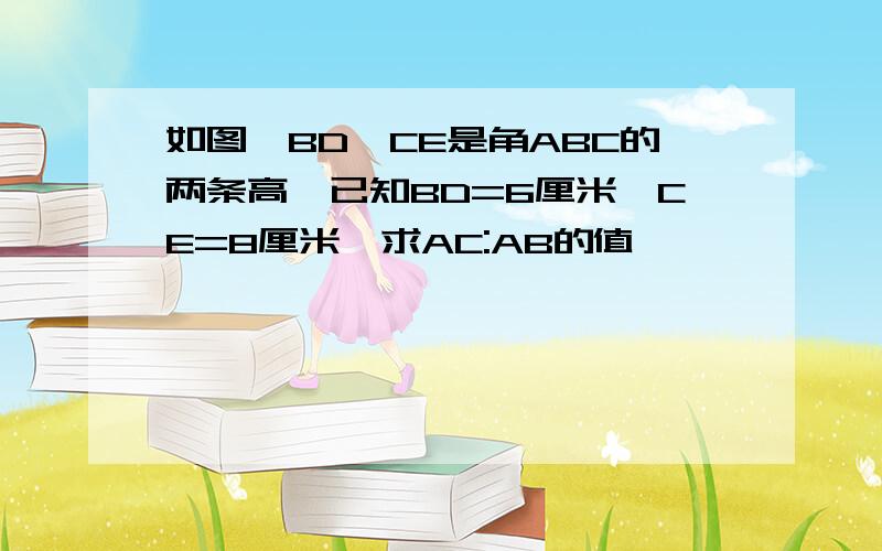 如图,BD,CE是角ABC的两条高,已知BD=6厘米,CE=8厘米,求AC:AB的值