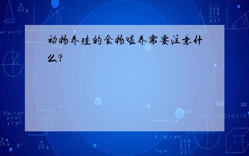 动物养殖的食物喂养需要注意什么?