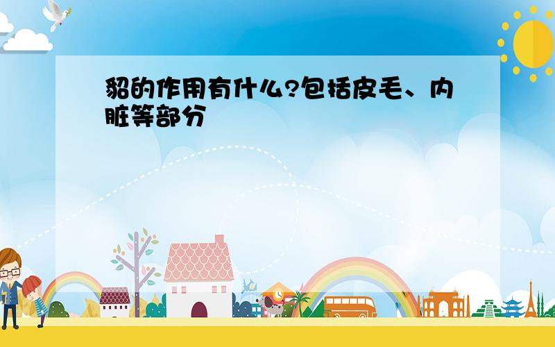 貂的作用有什么?包括皮毛、内脏等部分