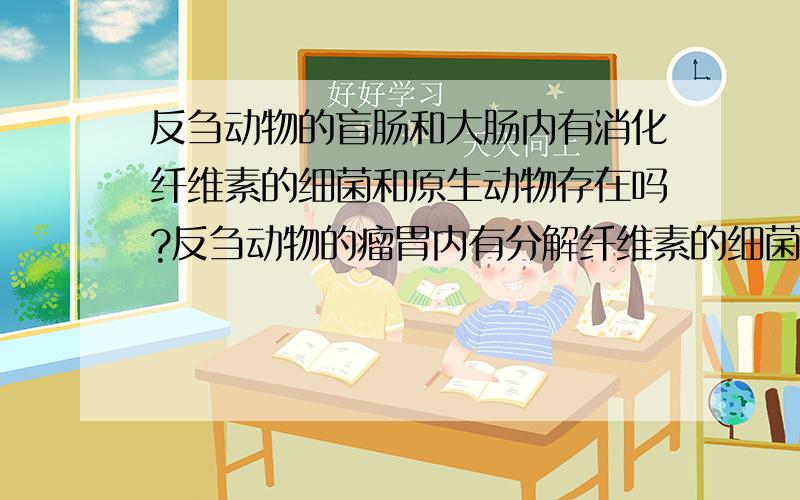 反刍动物的盲肠和大肠内有消化纤维素的细菌和原生动物存在吗?反刍动物的瘤胃内有分解纤维素的细菌和原生动物,那它们的盲肠和大肠内有这样的微生物吗?