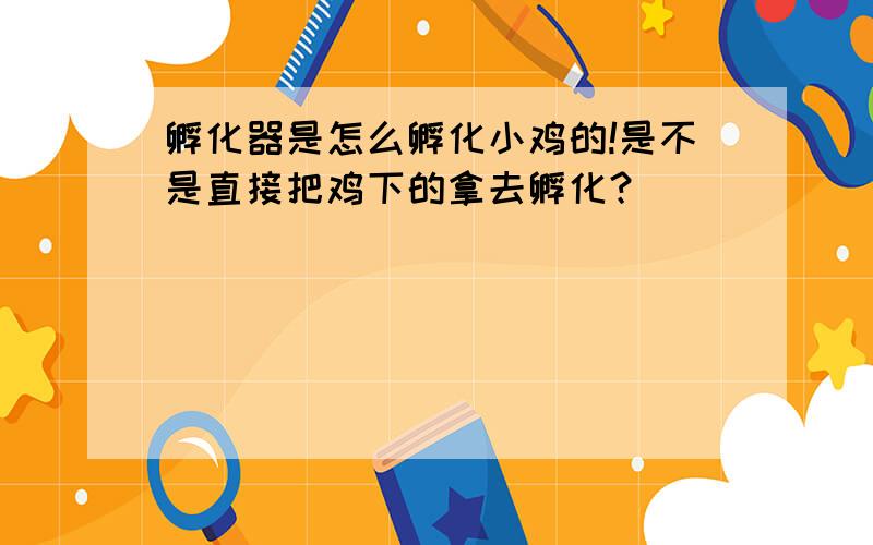 孵化器是怎么孵化小鸡的!是不是直接把鸡下的拿去孵化？